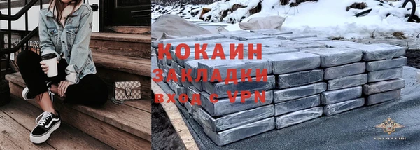 дживик Арсеньев