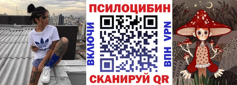 купить наркотик  блэк спрут онион  Галлюциногенные грибы мицелий  Сухиничи 